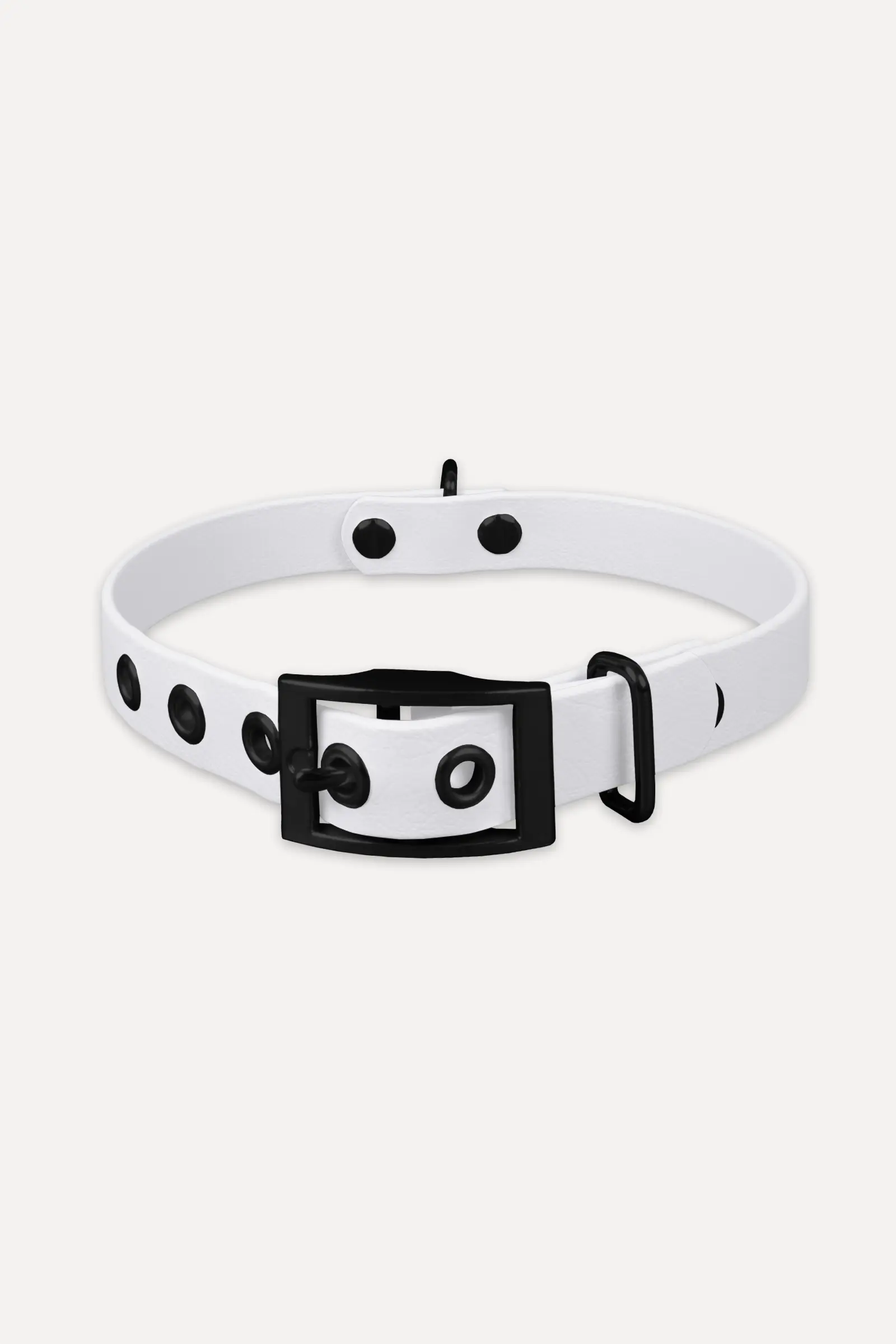 801012_biothane_halsband_weiss_schwarz_titel